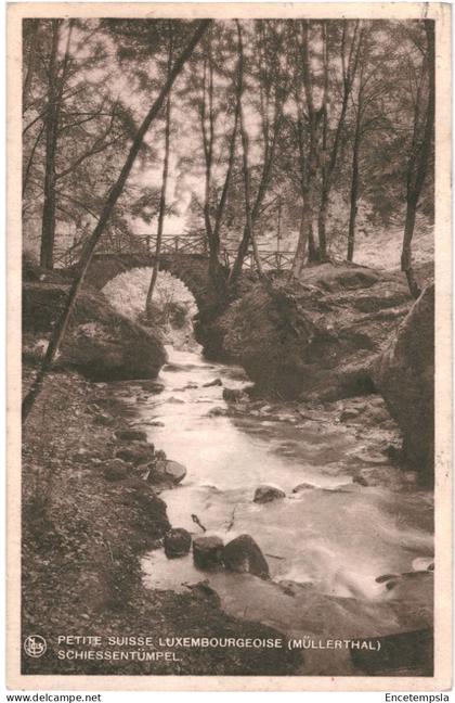 CPA Carte Postale Luxembourg Petite Suisse Müllerthal   VM81255