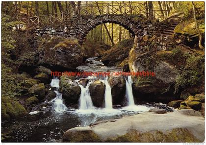 Cascade du Schiessentümpel - Mullerthal