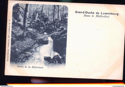 MULLERTHAL 1899