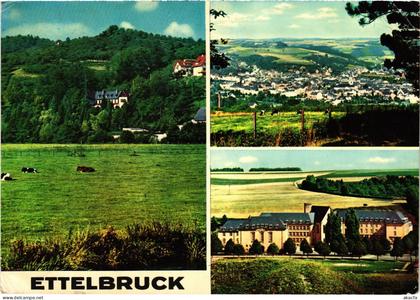 CPM AK Ettelbruck souvenir LUXEMBOURG (1495495)