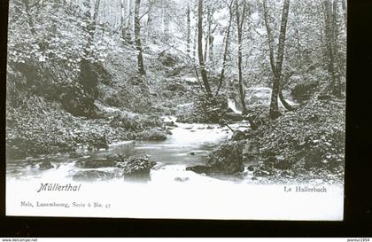 MULLERTHAL