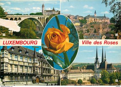 CPM Luxembourg Ville des Roses
