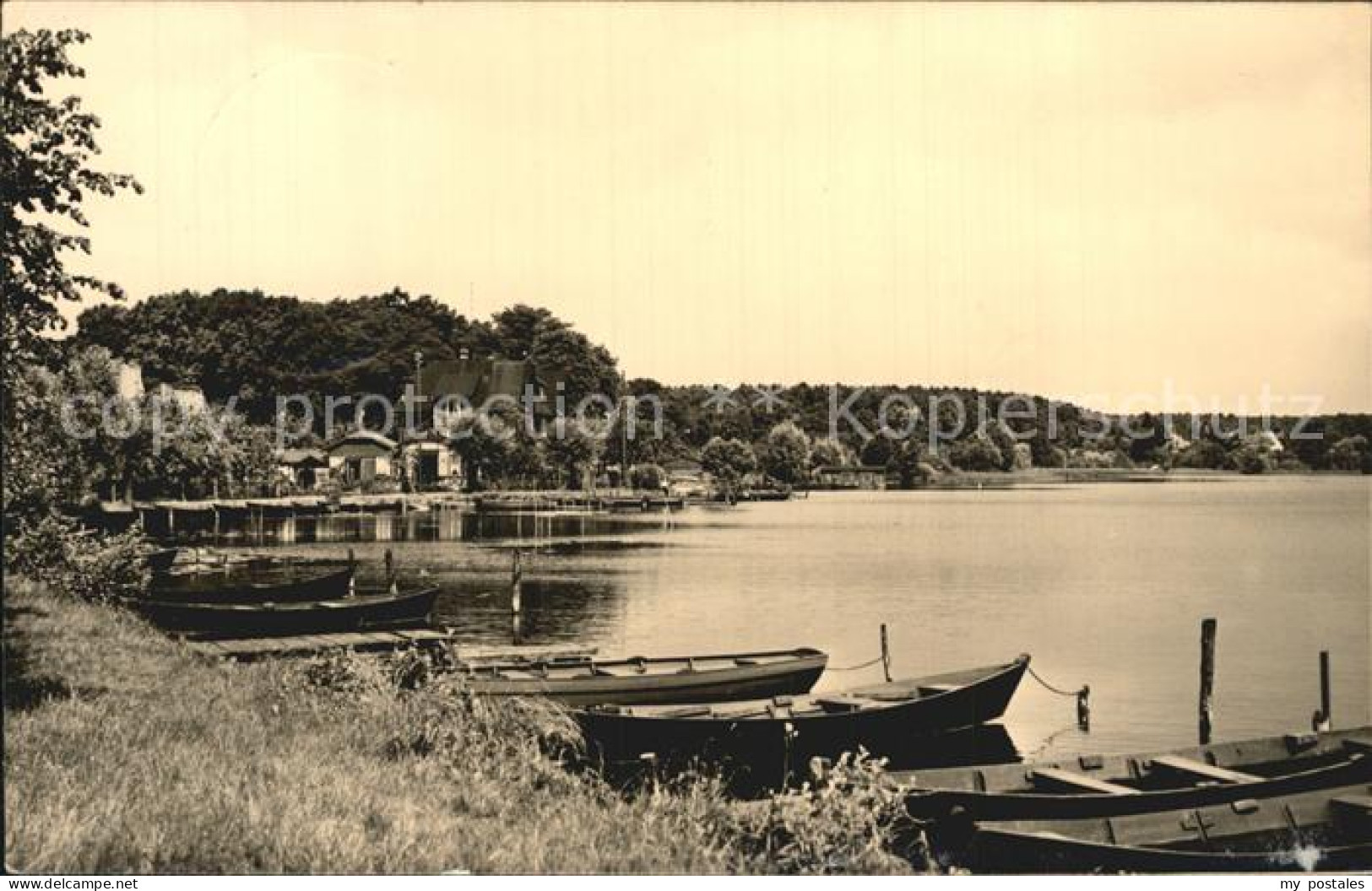 Lychen Partie am Oberpfuhlsee