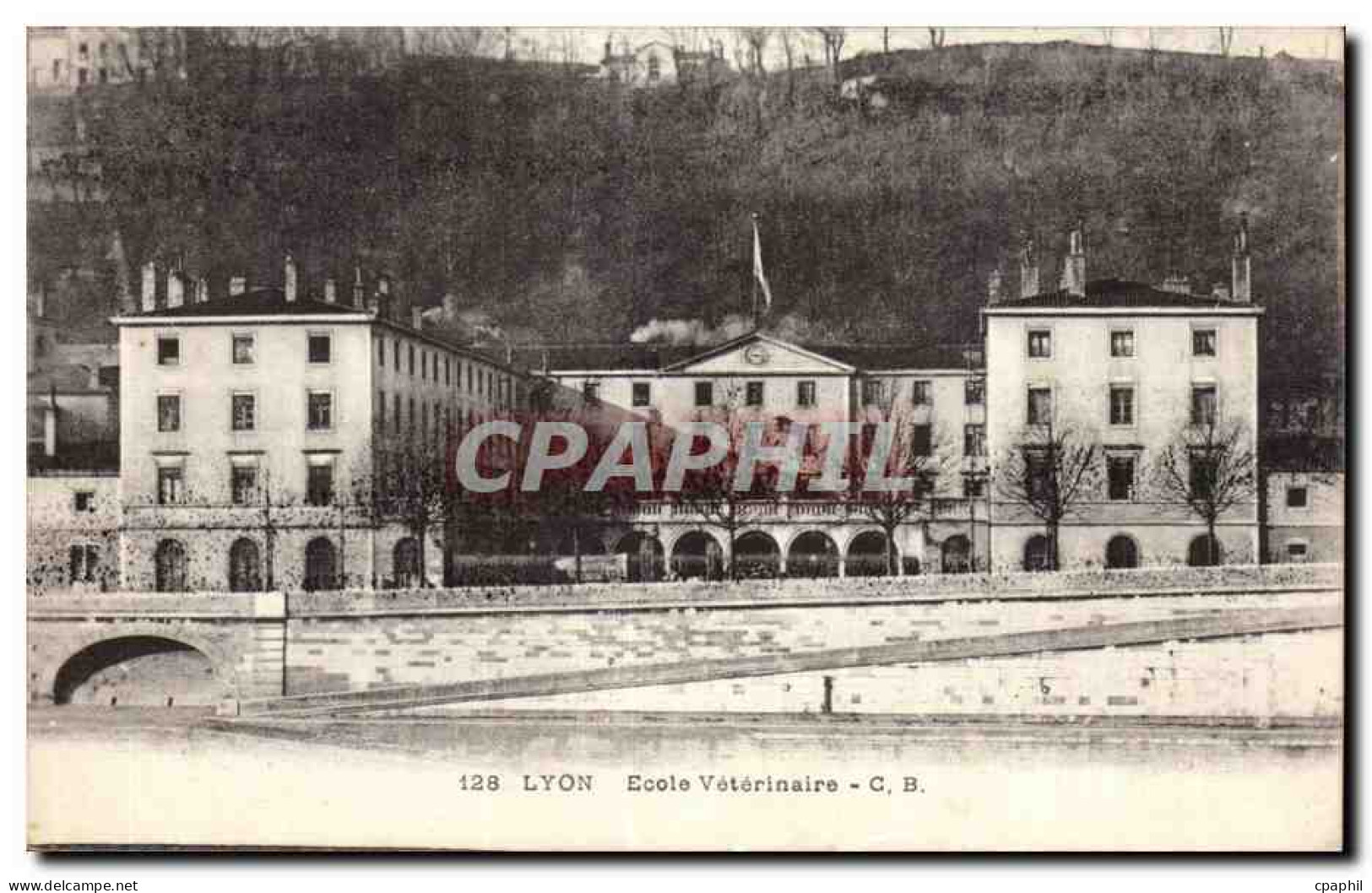Lyon CPA Ecole veterinaire