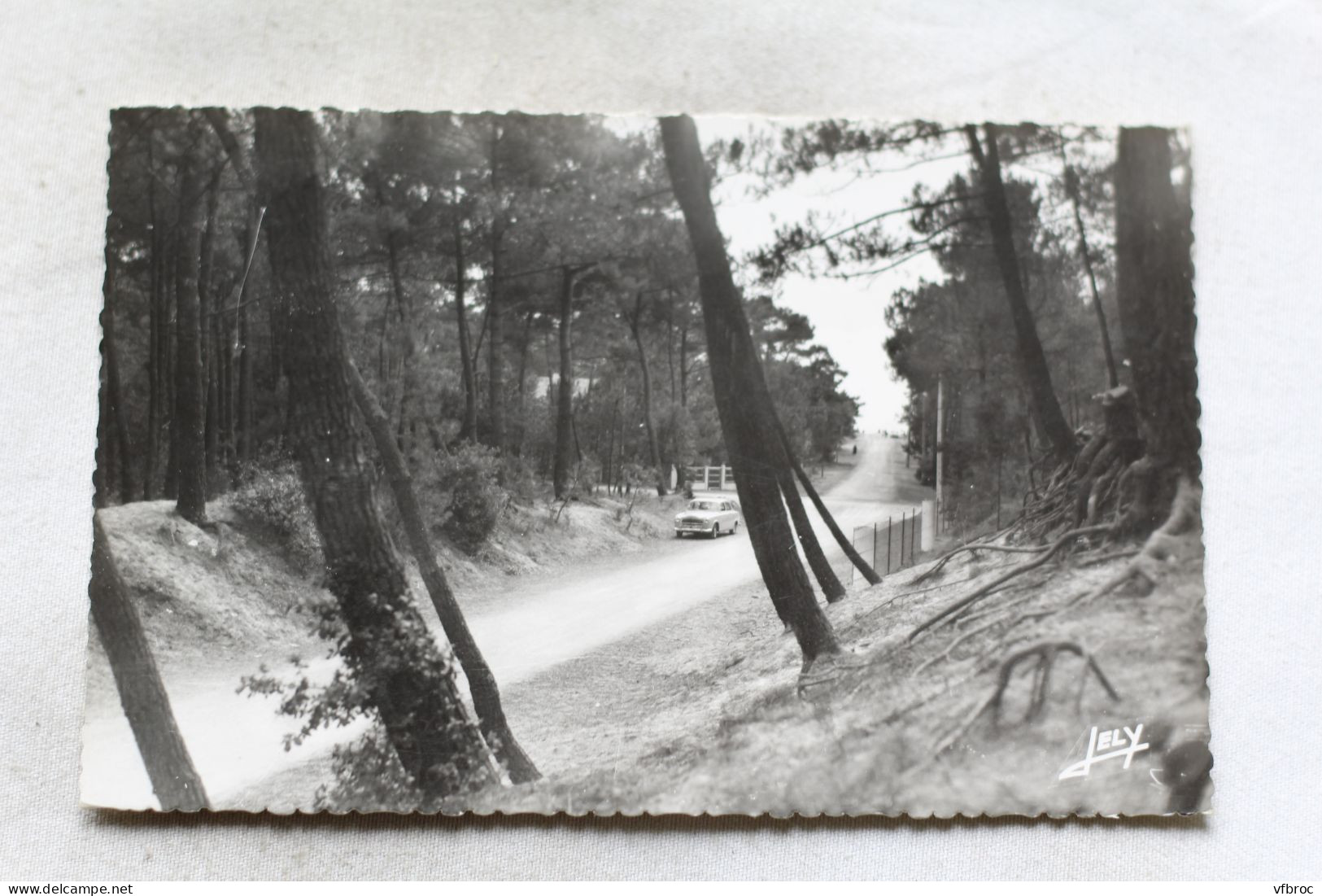 M32, Cpsm 1962, Saint Brévin l'Océan, avenue forestière, Loire Atlantique 44