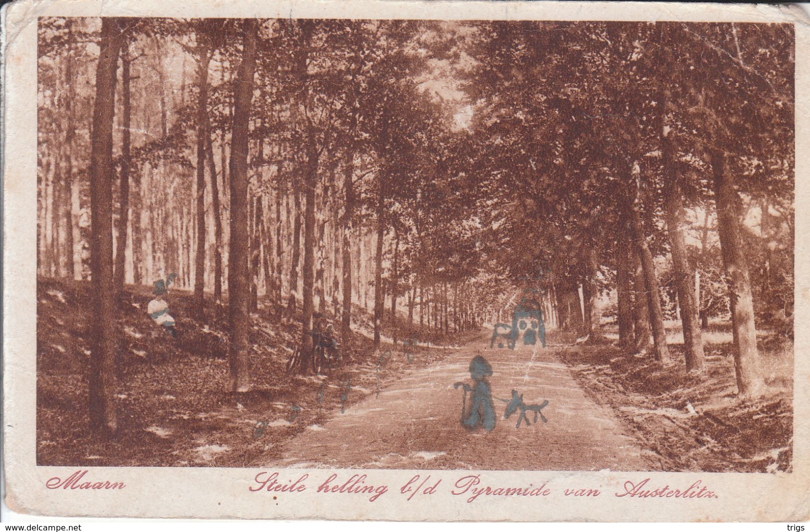 Maarn - Steile Helling b. d. Pyramide van Austerlitz