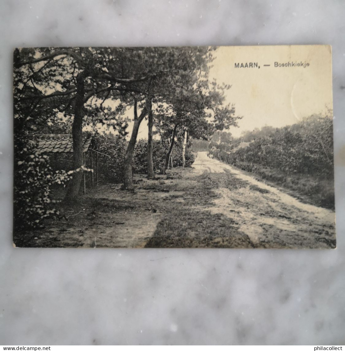 Maarn (Utr.) Boschkiekje 1925