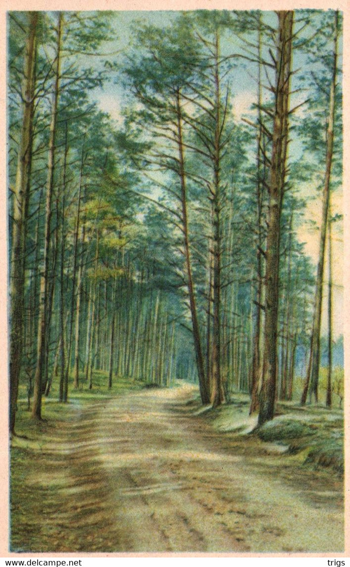 Maarn - Vacantieoord "De Maarnse Berg"