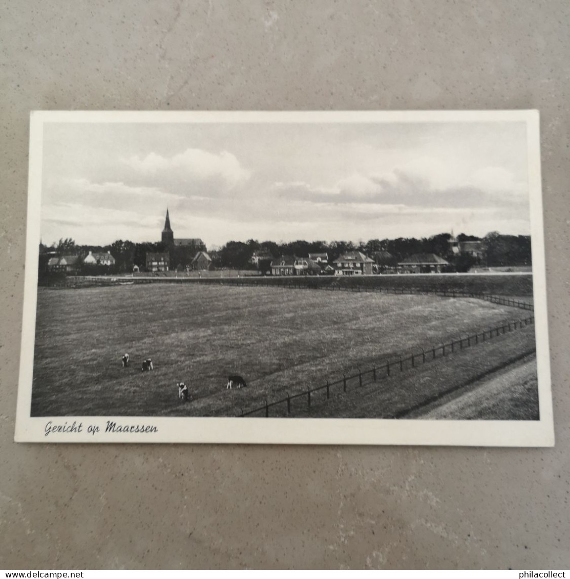 Maarssen // Gezicht op 19??