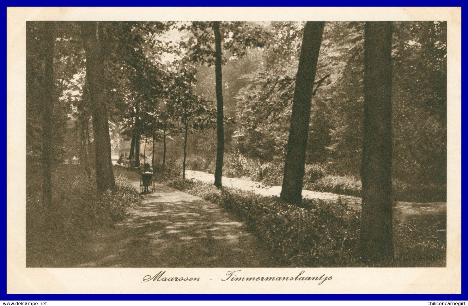 MAARSSEN - Timmermanslaantje - Animée - Uitgave J. GOETHEER - 1921