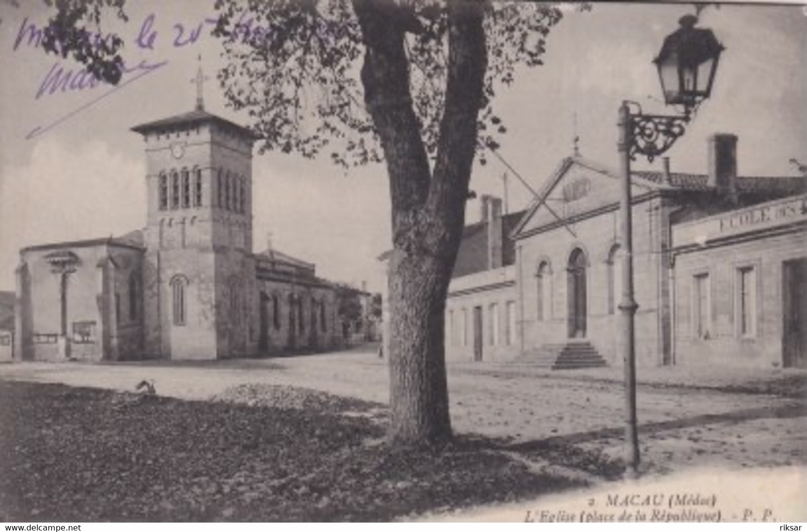 MACAU(ARBRE)