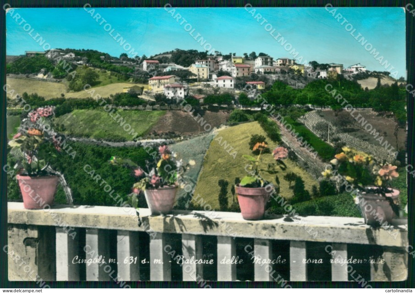 Macerata Cingoli Macerata Cingoli Foto FG cartolina KF1949