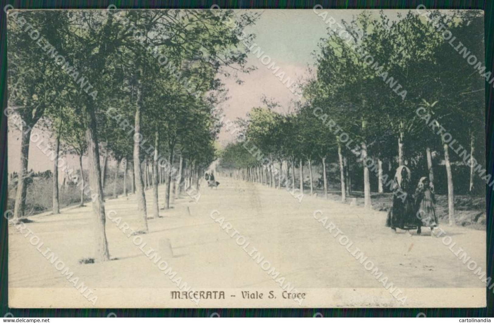 Macerata Città cartolina QK6474