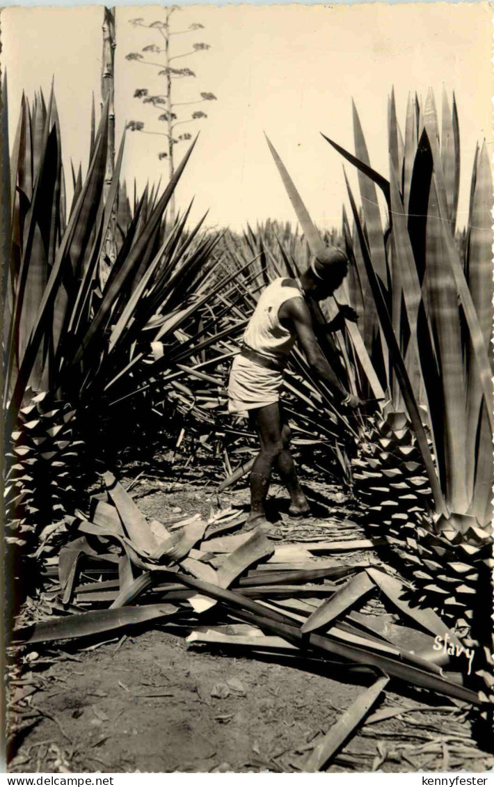 Madagascar