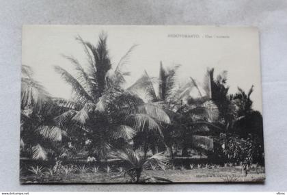 Andovoranto, une cocoterie, Madagascar