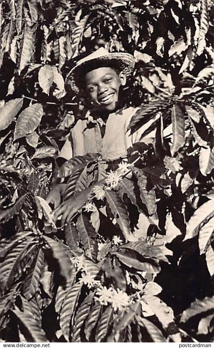 Madagascar - Joie de vivre Betsimisaraka - Ed. Gary 6