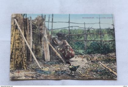 Madagascar, un poulailler indigène