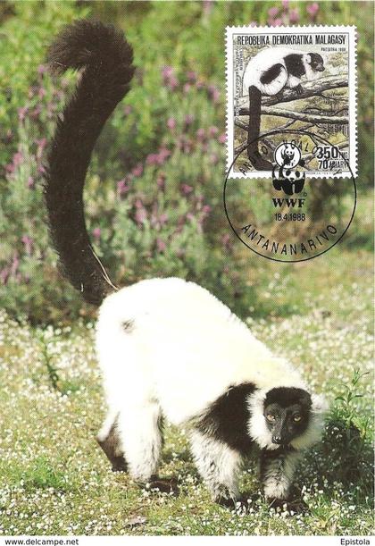 1988 - Antananarivo - Ruffed Lemur - Lemurien Vari