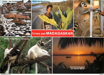 CPM Gruss aus Madagaskar Singes