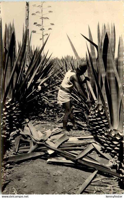 Madagascar