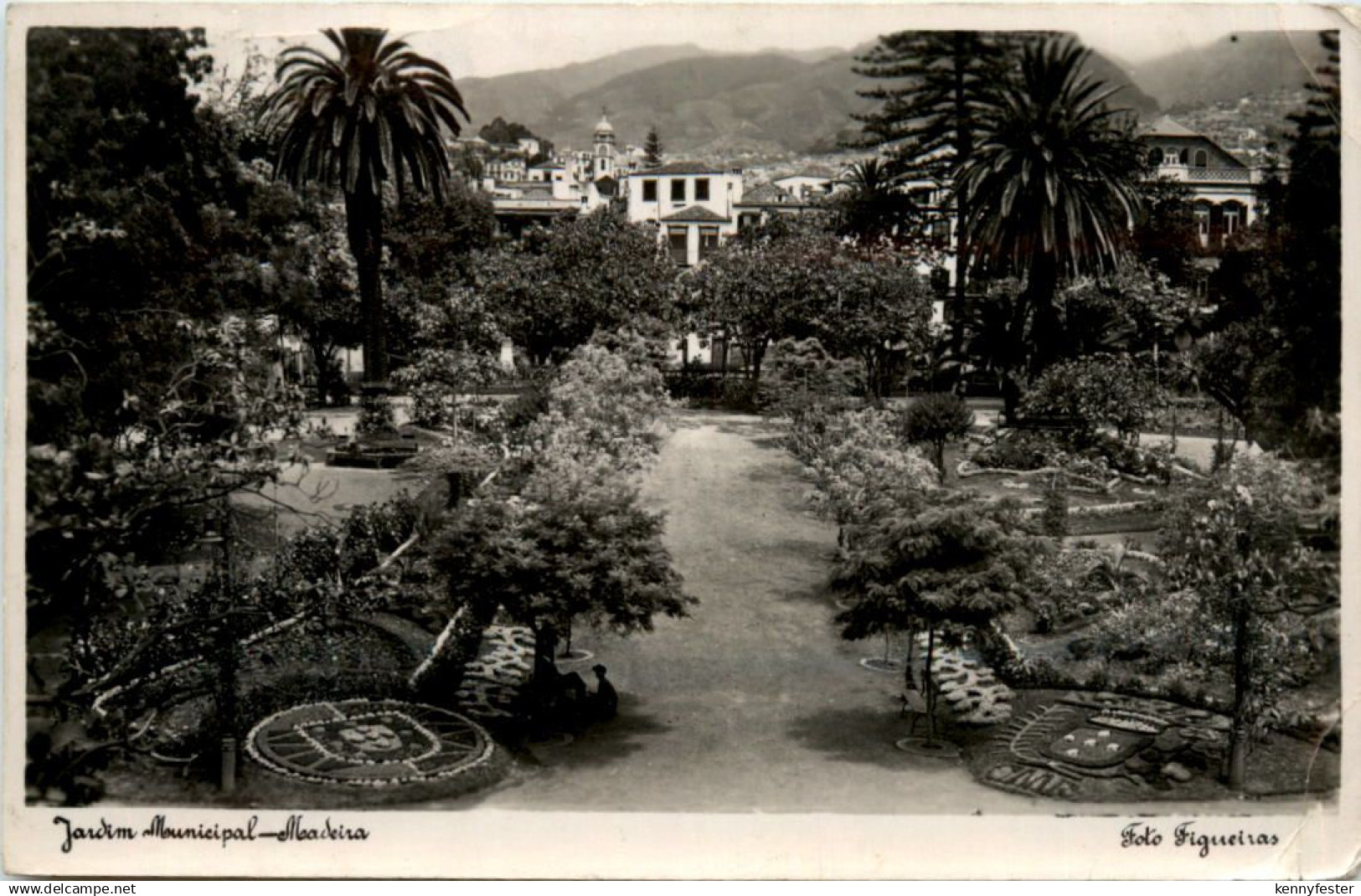 Madeira - Jardim Municipal