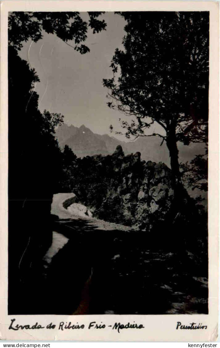 Madeira - Levada de Ribeiro