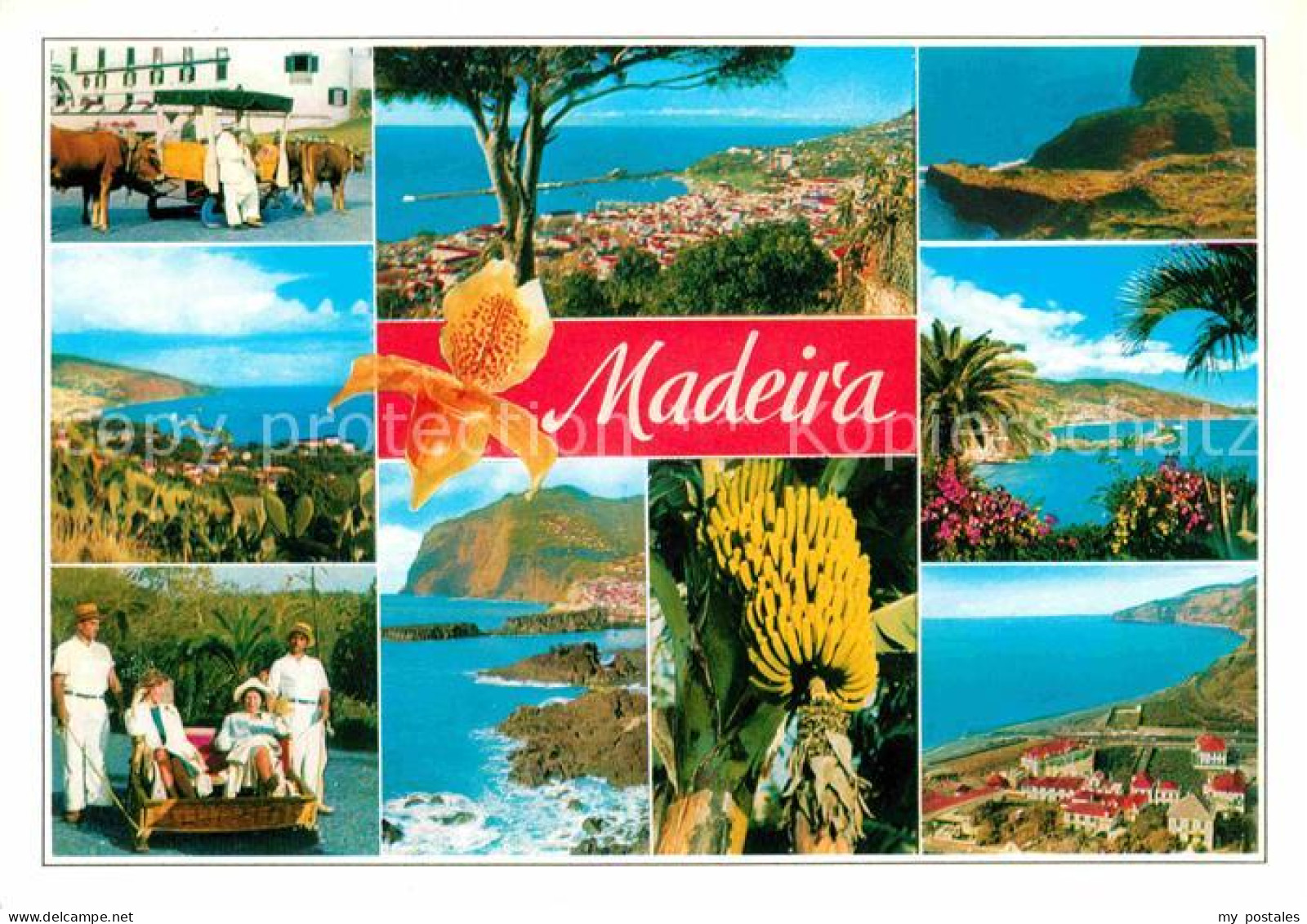 Madeira Portugal As melhores vistas da Madeira