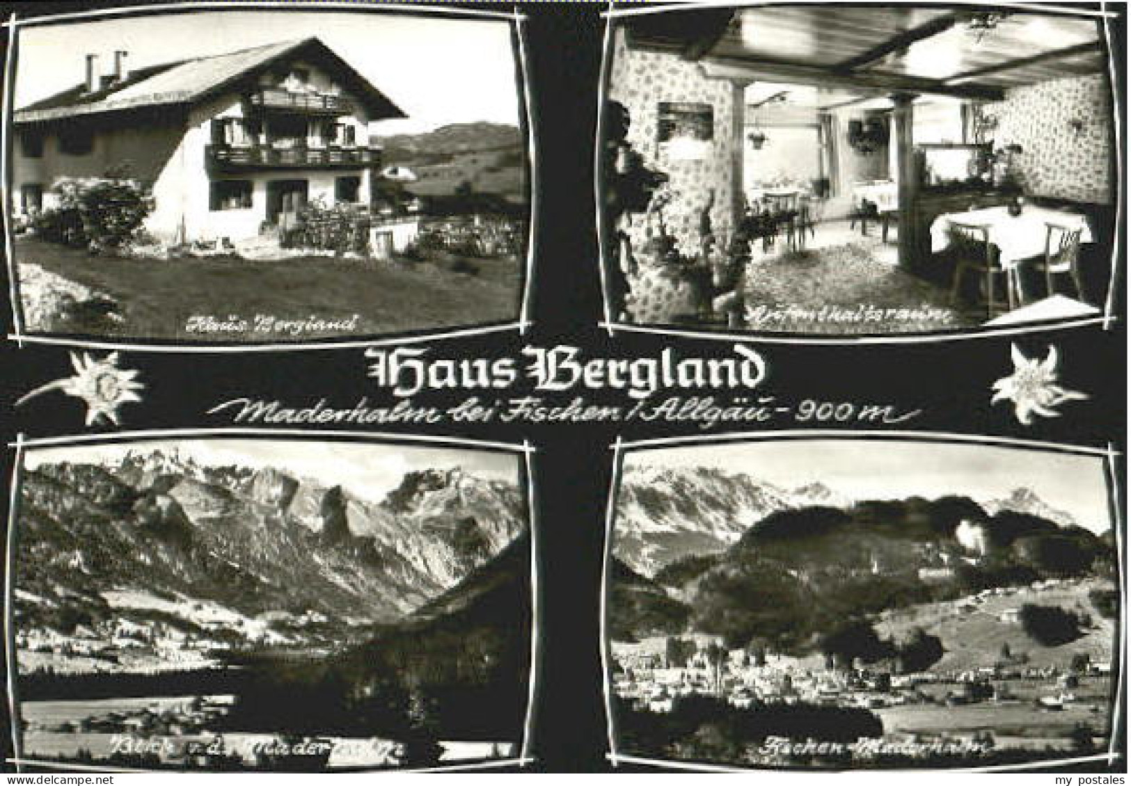 Maderhalm bei Fischen