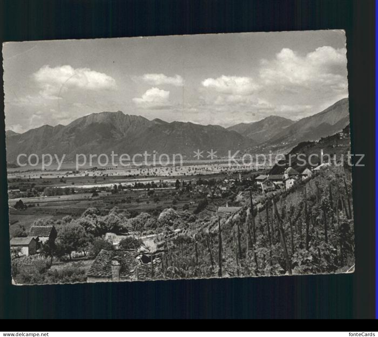 Magadino Ebene Panorama