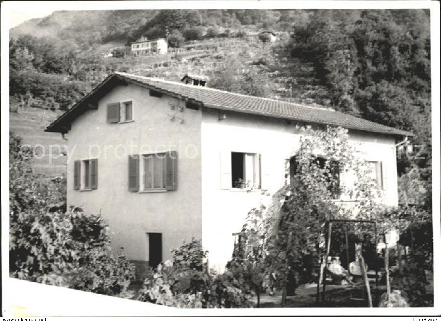 Magadino Graber Francesco