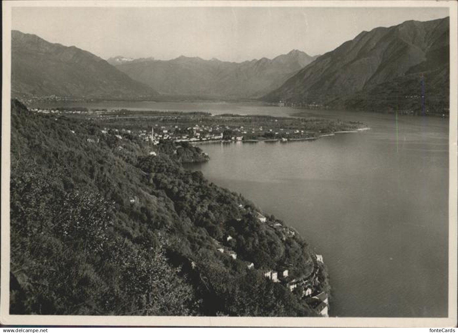 Maggia Delta