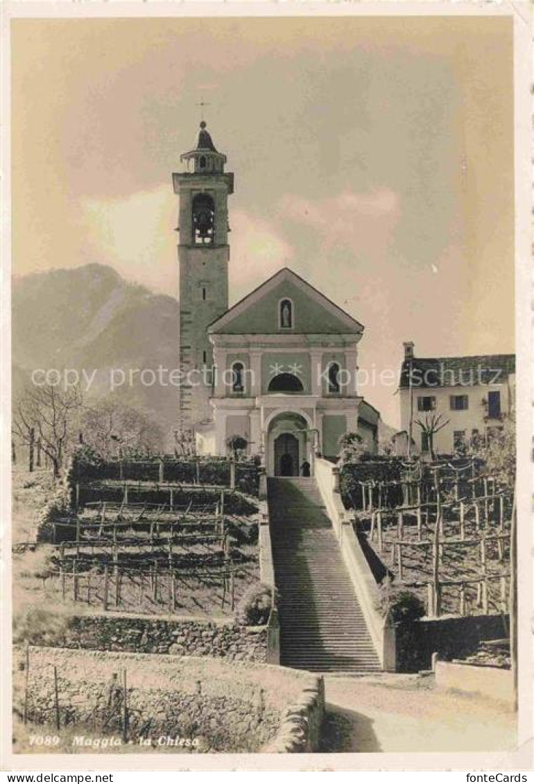Maggia Vallemaggia TI Maggia Chiesa Kirchentreppe Glockenturm Weinreben Bergdorf