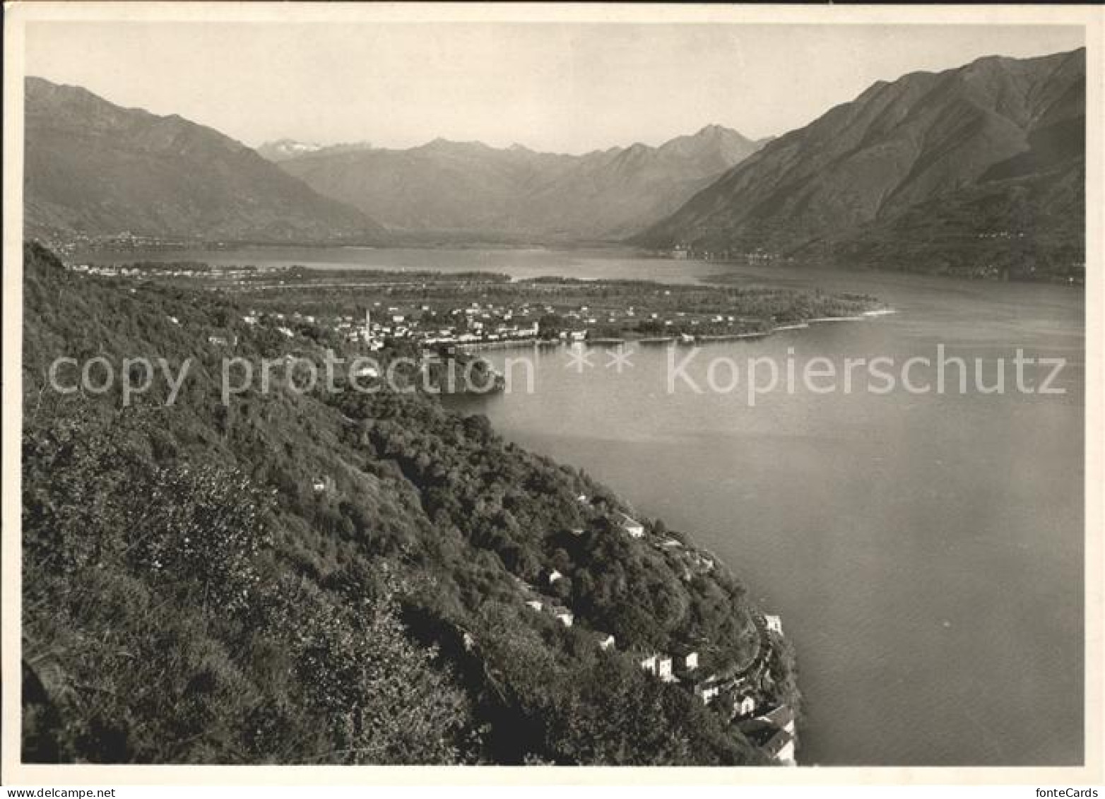 Maggia Vista su Maggia Delta