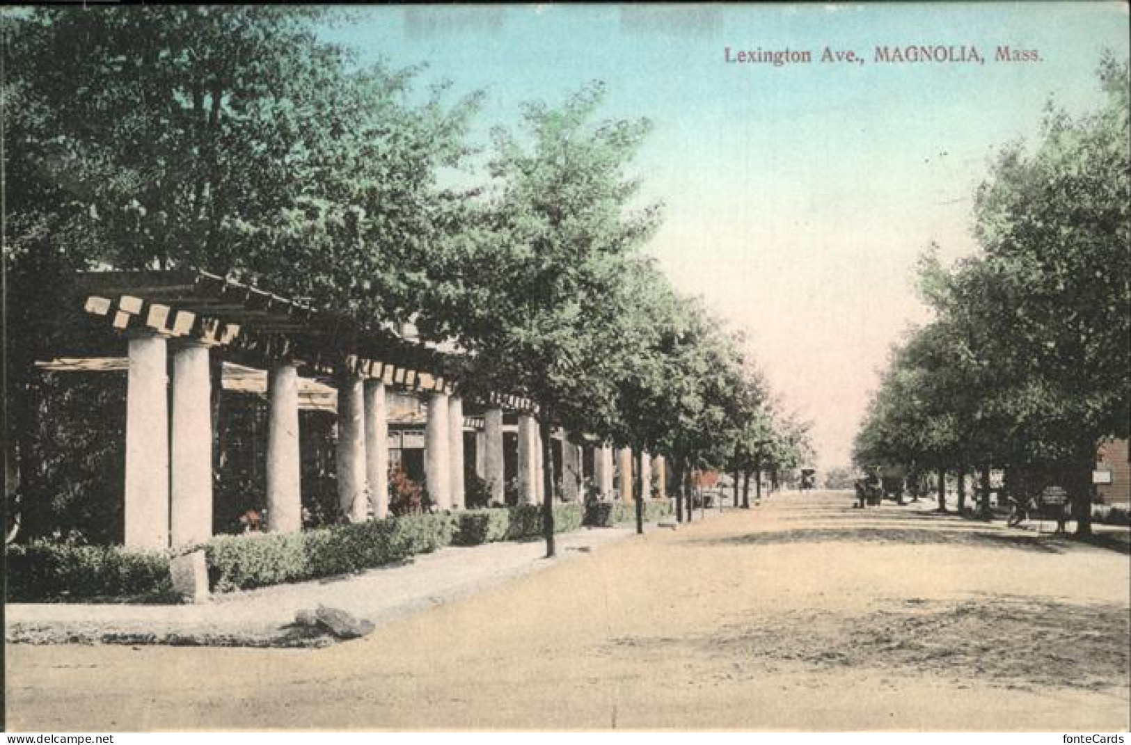 Magnolia Mass. Lexington Ave.