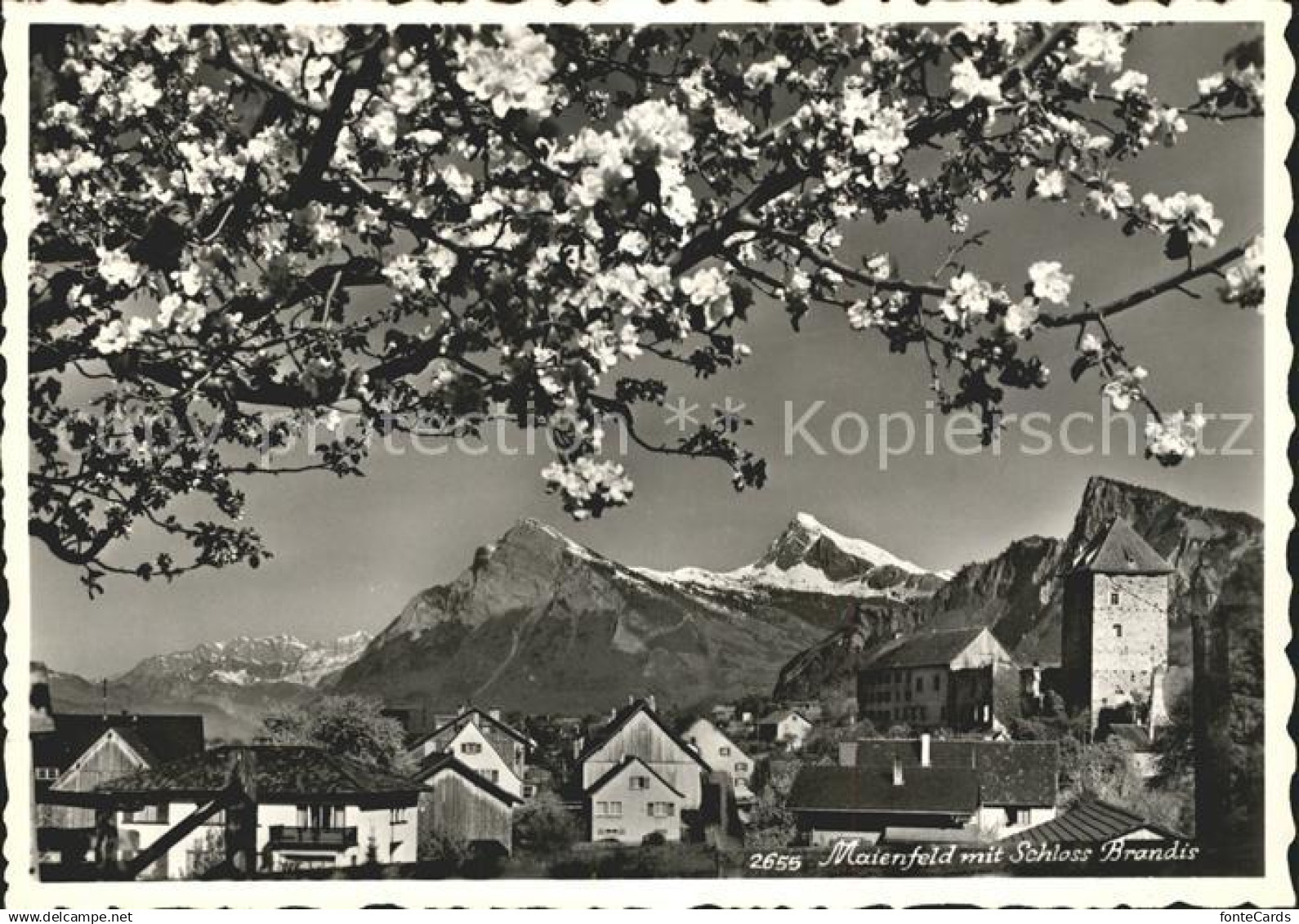 Maienfeld Ortsansicht mit Schloss Brandis Alpenblick Baumbluete