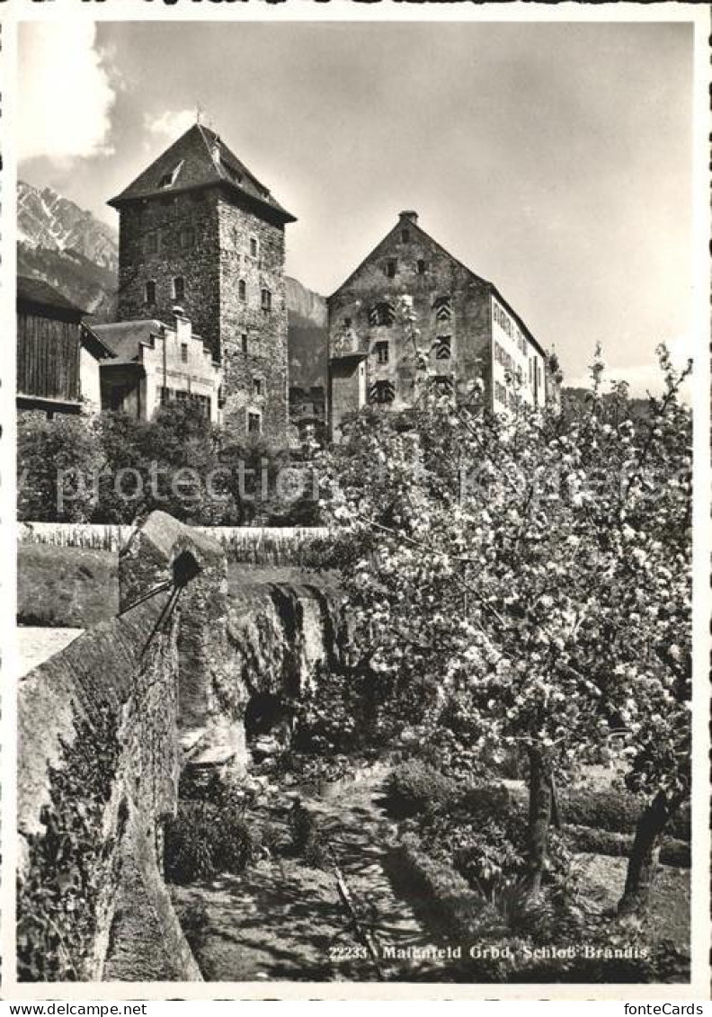 Maienfeld Schloss Brandis Baumbluete