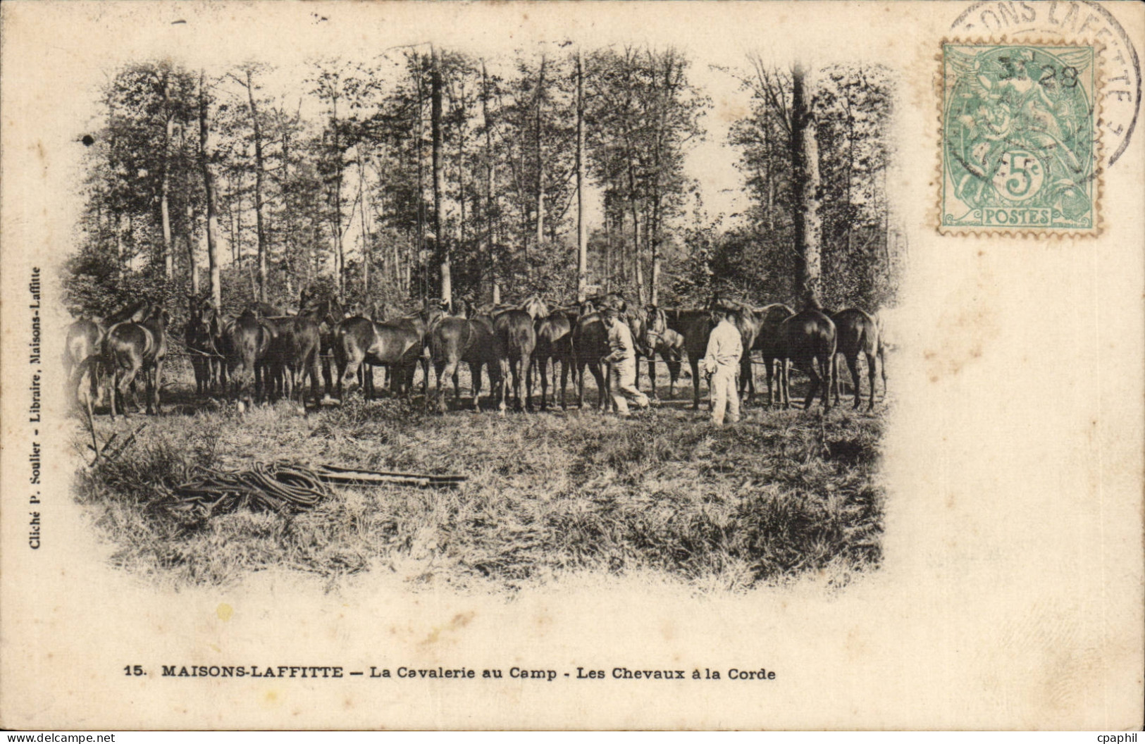 Maisons Laffitte CPA La cavalerie au camp Les chevaux a la corde