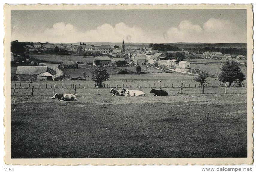 Maissin    :  Panorama