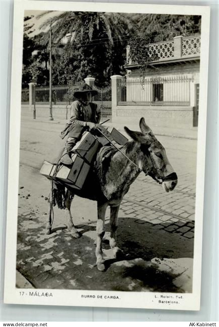 Malaga Foto AK Volkstypen Burro de Carga - Esel AK - 52205478
