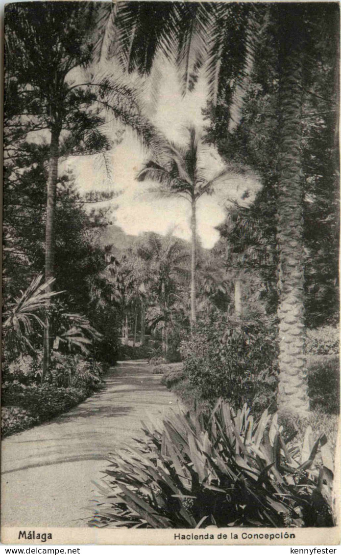 Malaga - Hacienta de la Conceptionsco