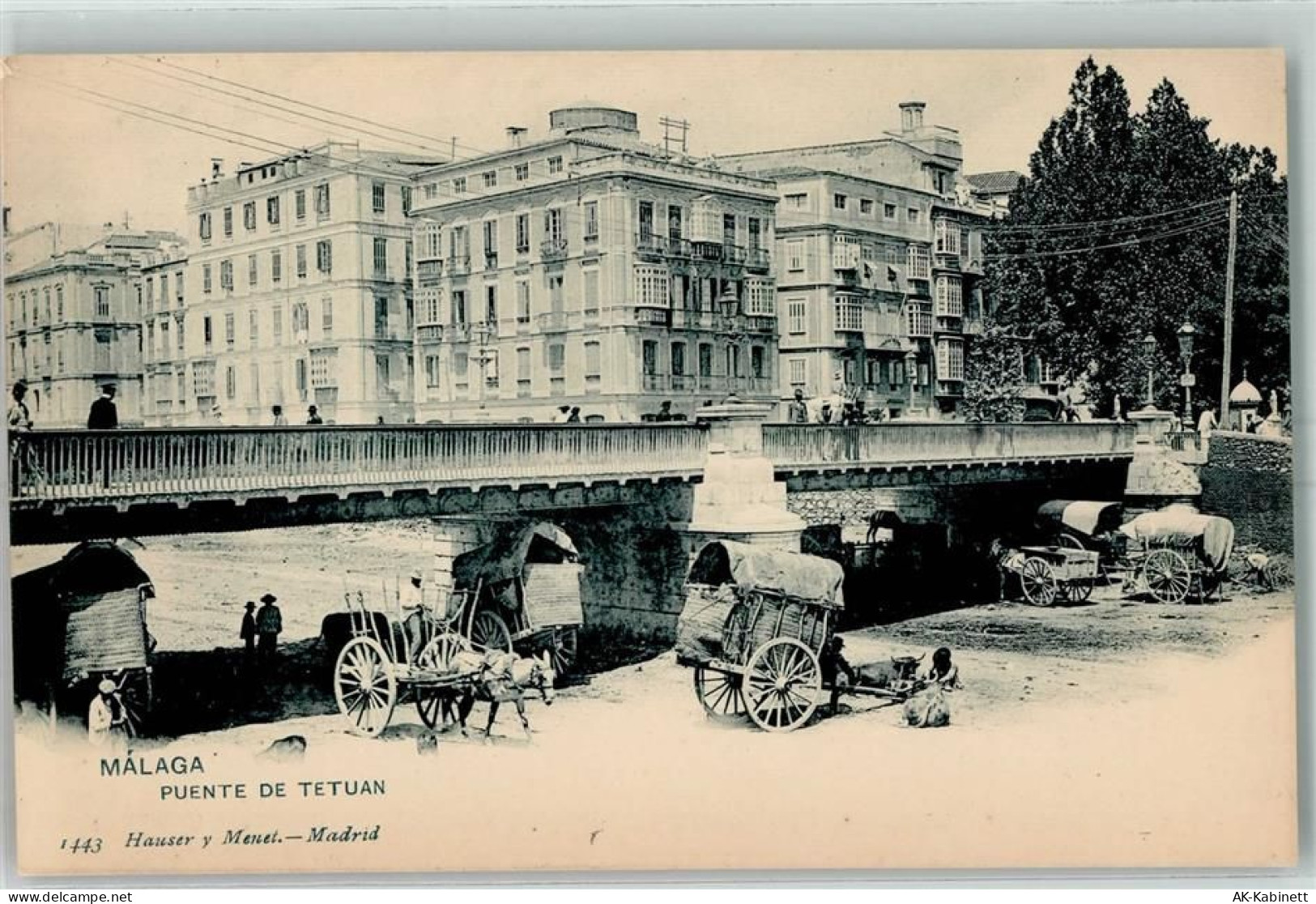 Malaga - Puente de Tetuan - 52230462