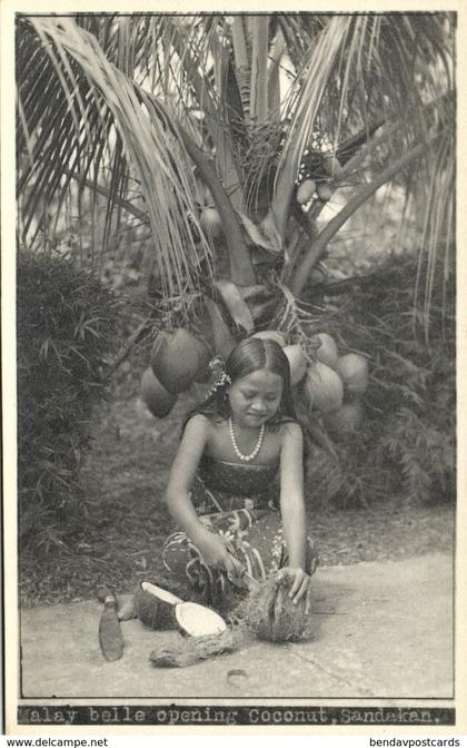 british north borneo, SABAH SANDAKAN, Malayan Girl Coconut (1930s) Real Photo