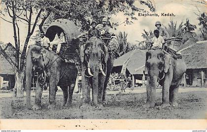 Malaysia - KEDAH - Elephants