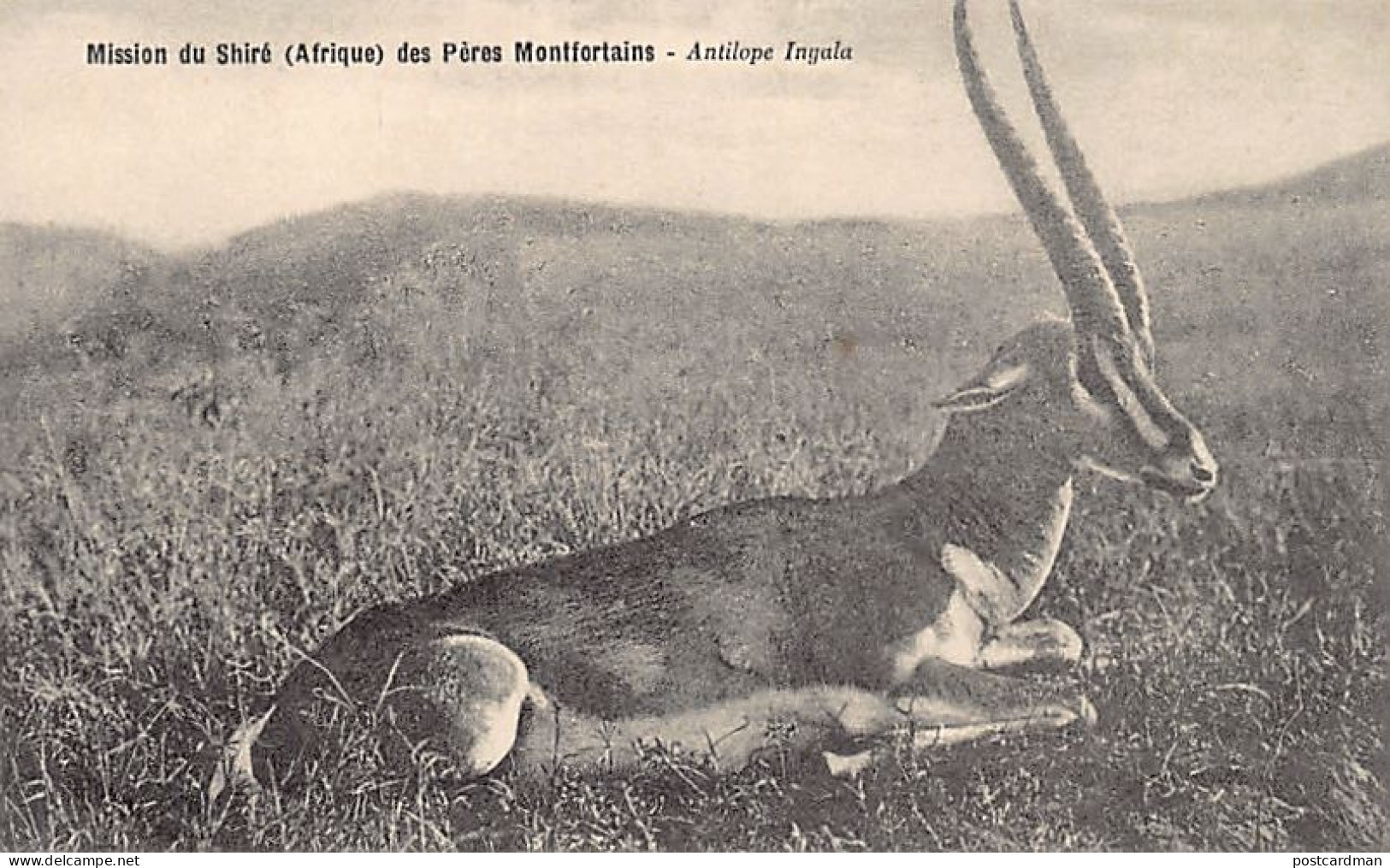 Malawi - Antelope - Publ. Company of Mary - Mission du Shiré des Pères Montfortains