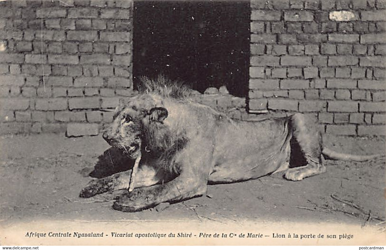 Malawi - Trapped Lion - Publ. Apostolic Vicariate of the Shire - Father of the Company of Mary