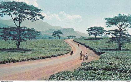 MALAWI
