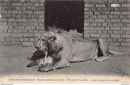 Malawi - Trapped Lion - Publ. Apostolic Vicariate of the Shire - Father of the Company of Mary