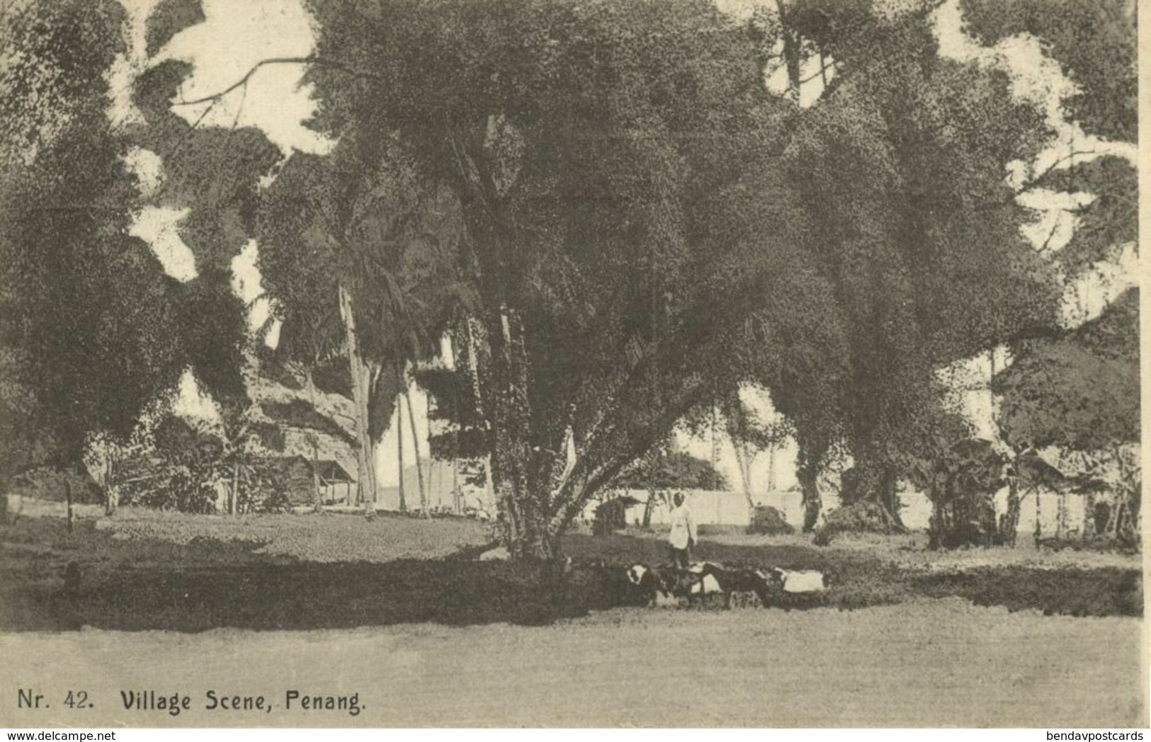 malay malaysia, PENANG, Village Scene (1910s) Postcard