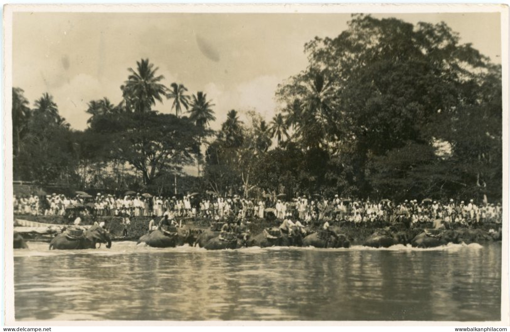 Malaysia Elephants Crossing River photocard