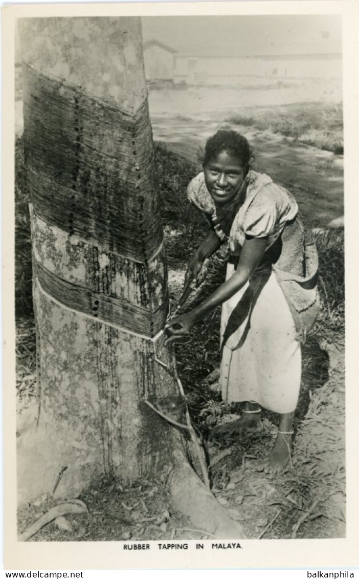 Malaysia Girl Tapping Rubber Malaya